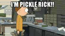 pickle rick rick and morty
