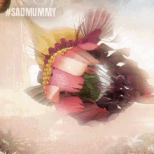 smile amumu the curse of the sad mummy song happy flower smile amumu the curse of the sad mummy song happy flower