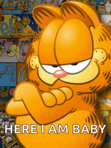 Garfield Cartoons GIF - Garfield Cartoons Cat GIFs