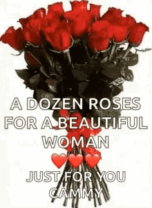 roses dozen shining flowers for you