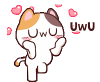 Cute Cat Sticker - Cute Cat Uwu Stickers
