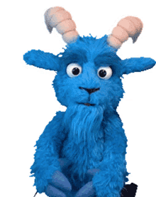 48kgoat 48kgoat