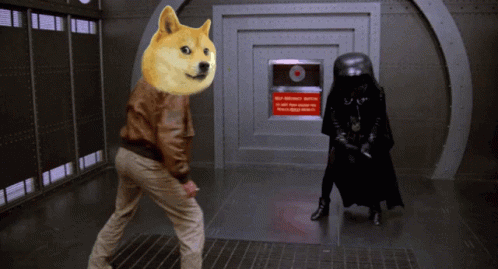 Doge Dogecoin GIF - Doge Dogecoin Doge To The Moon - Discover & Share GIFs