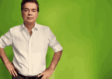 werner kogler die gr%C3%BCnen gr%C3%BCne werner kogler die gr%C3%BCnen gr%C3%BCne
