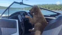 dog driving boat like a boss swag