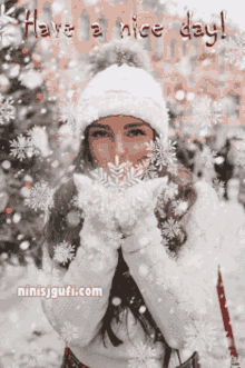 have a nice day snow snowflakes have a nice day snow snowflakes