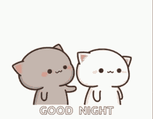 Good Night Peach Cat GIF - Good Night Peach Cat Cute GIFs