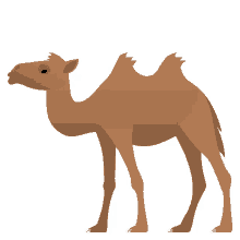 two hump camel nature joypixels desert sturdy hoofed mammal