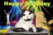 Happy Birthday Time To Party GIF - Happy Birthday Time To Party Celebrate GIFs