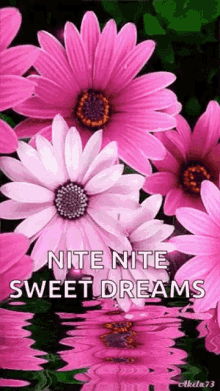 Sweet Dreams Nite GIF - Sweet Dreams Nite Sparkles GIFs