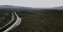 top view alaska forest woods woodlands whats inside the piano top view alaska forest woods woodlands whats inside the piano