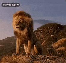 The Lion King.Gif GIF - The Lion King Lion Animals GIFs