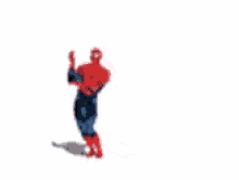 spiderman cartoon spiderman cartoon