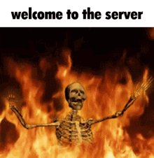 Welcome To The Server Welcome GIF - Welcome To The Server Welcome Server GIFs