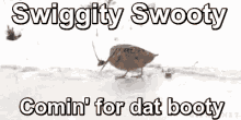 Swiggity Swooty GIF - Swiggity Swooty Im GIFs
