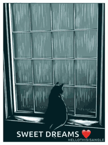 Cat Rainy Days GIF - Cat Rainy Days Rainy Seasons GIFs