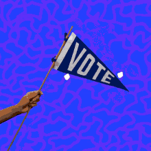 Vote Ballot GIF - Vote Ballot Voting Rights GIFs