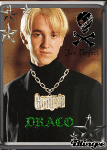 Draco Blingee GIF - Draco Blingee Draco Blingee GIFs