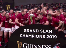 Wales Rugby Six Nations GIF - Wales Rugby Six Nations Rugby Cymru GIFs