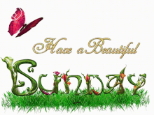 Have A Beautiful Sunday Sunday GIF - Have A Beautiful Sunday Sunday Butterfly GIFs
