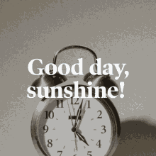 Good Day Sunshine What A Day GIF - Good Day Sunshine What A Day Crooked Media GIFs
