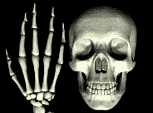 Middle Finger Skull GIFs | Tenor