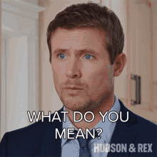 What Do You Mean Charlie Hudson GIF - What Do You Mean Charlie Hudson Hudson And Rex GIFs