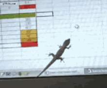 Lizard Vs Mouse Cursor GIF - Lizard Following Mouse Cursor GIFs