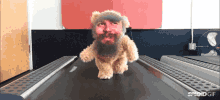 Thedangerbeard Puppy GIF - Thedangerbeard Dangerbeard Puppy GIFs