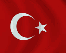 Bayrak Türk Bayrağı GIF - Bayrak Türk Bayrağı Turkish Flag GIFs