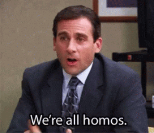 Homos Michael Scott GIF.