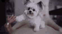High Five Awesome GIF - High Five Awesome Score GIFs