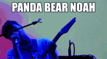 animal collective panda bear noah panda bear noah lennox animal collective panda bear noah panda bear noah lennox