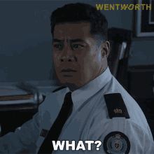 What Will Jackson GIF - What Will Jackson Wentworth GIFs