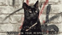 Waiting On Your Response Like - Cats With Thumbs GIF - Answer Me Phone Please Call GIFs