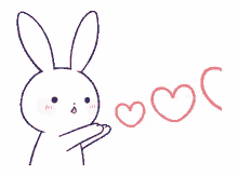 rabbit you