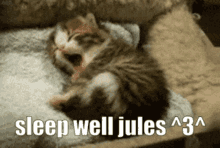 Sleep Well Jules GIF - Sleep Well Jules GIFs