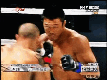 추성훈 격투기 펀치 복싱 싸움 GIF - Choo Sunghoon Fight Punch GIFs