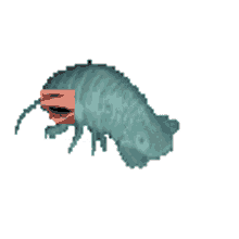 isopod creature