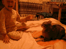 Slap Cat GIF - Slap Cat Fight GIFs