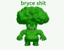 Bryce Broccoli GIF - Bryce Broccoli Bryce Boy GIFs