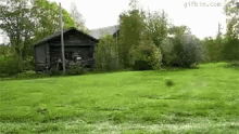 Grass Mow GIF - Grass Mow Dog GIFs