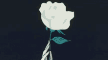 White Rose Rose GIF - White Rose Rose Anime GIFs