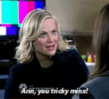 Tricky Minx Parks And Rec GIF - Tricky Minx Parks And Rec GIFs