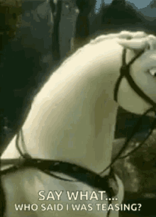 What Horse GIF - What Horse Tangled GIFs