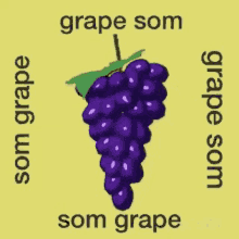 Grapes Fruits GIF - Grapes Fruits GIFs