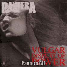 Pantera GIF - Pantera GIFs