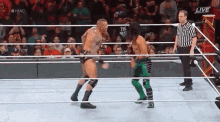 wwe wrestling