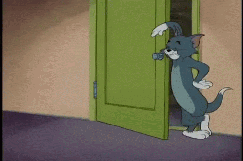 exterior cat door