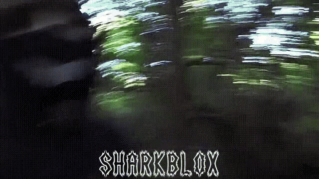 Sharkblox Shark Roblox GIF - Sharkblox Shark Roblox Shxrk GIFs
